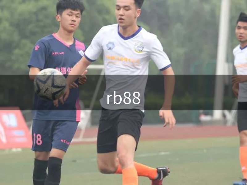 RB88·(中国区)官方网站